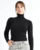 Picture of Women Self Design High Neck Black Sweater