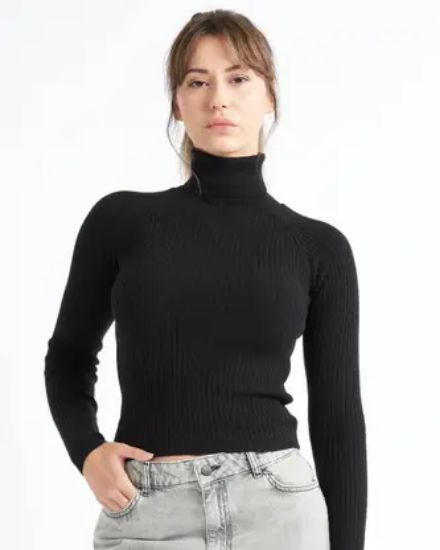 Picture of Women Self Design High Neck Black Sweater